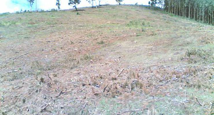 Abholzung in Tansania; Foto: © 2006, Mohsin S. Karmali (Wiki Commons)