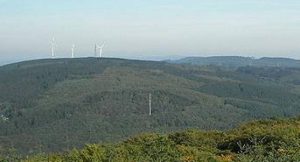Binger Wald mit Windkraftanlagen im Hintergrund; Foto: Nikanos (Wikicommons)
