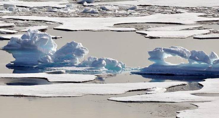 A melting ice floe in the Arctic Ocean