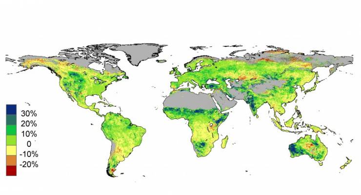 Satellitendaten zeigen die weltweite prozentuale Veränderung der Pflanzenbedeckung zwischen 1982 und 2010