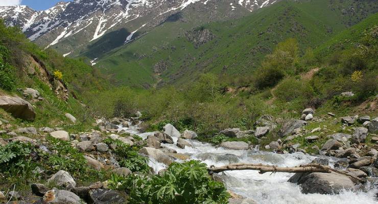 Gebirgsbach in Tadschikistan