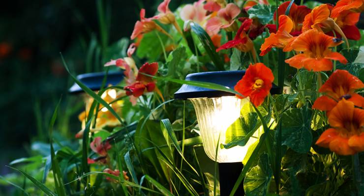 Solarlampen bringen den Garten auch nachts zum Leuchten