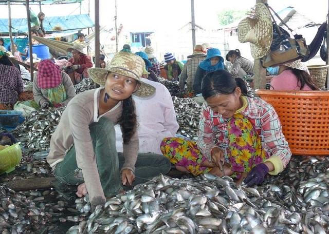 GNF Fischverarbeitung am Tonle Sap See