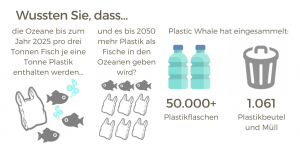 Interface Infographic plastic waste German