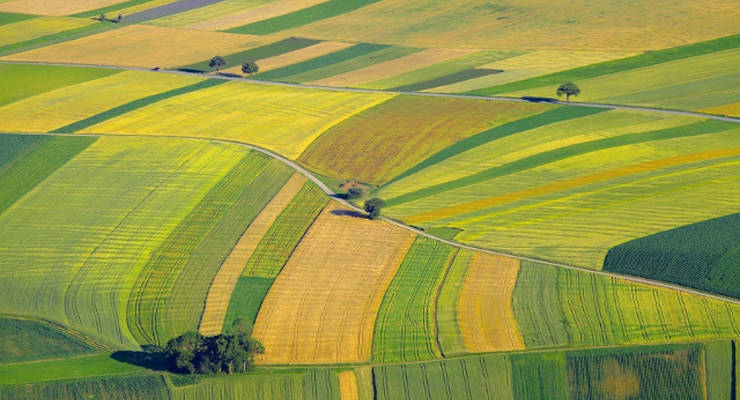 Klimaforschung auf Getreidefeldern