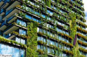 grünes mit Planzen bewachsenes Gebäude