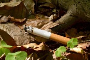 Warum Rauchen schädlich für die Umwelt ist