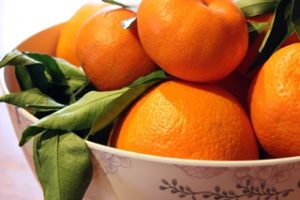 Orangen frisch aus Spanien
