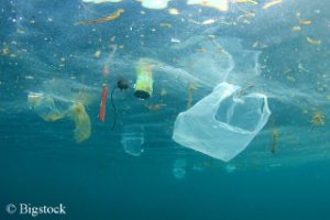 Meeresmüll: Der Runde Tisch will das Meer von Plastikmüll befreien.