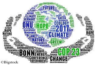 COP23 - Weltklimakonferenz bringt Fortschritte im Klimaschutz.