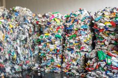 Ein Verbot von Plastikgeschirr könnte den Plastikmüll massiv reduzieren