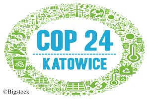 Für das Pariser Abkommen soll in Katowice ein Regelwerk entstehen. Doch langsam wird klar: das Klimaschutzabkommen offenbart Schwächen.