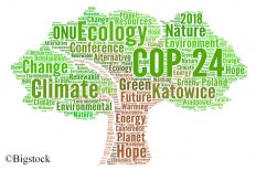 Mit dem Petersberger Klimadialog 2018 werden auch die Vorbereitungen für Kattowice vorangetrieben.