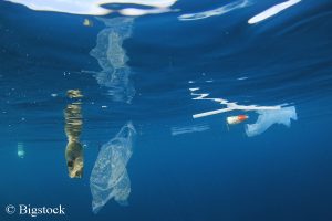 Einwegplastik verschmutzt unsere Meere - BeatPlasticPollution
