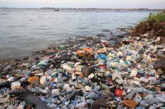 Besonders in Asien ist der Plastikmüll in den Ozeanen zunehmend dramatisch. Aber auch die Deutschen machen sich Sorgen um das Meer.