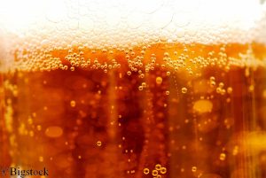 Bier: Klimawandel lässt Preise steigen